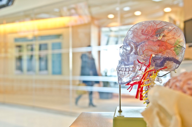 Neurociencia: el 'gran error de Fringe'