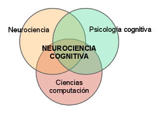 Componentes de la Neurociencia